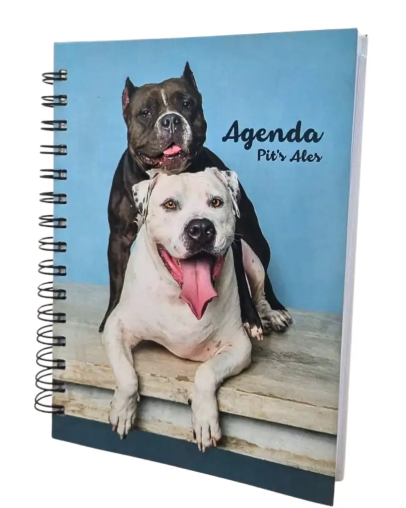 Agenda